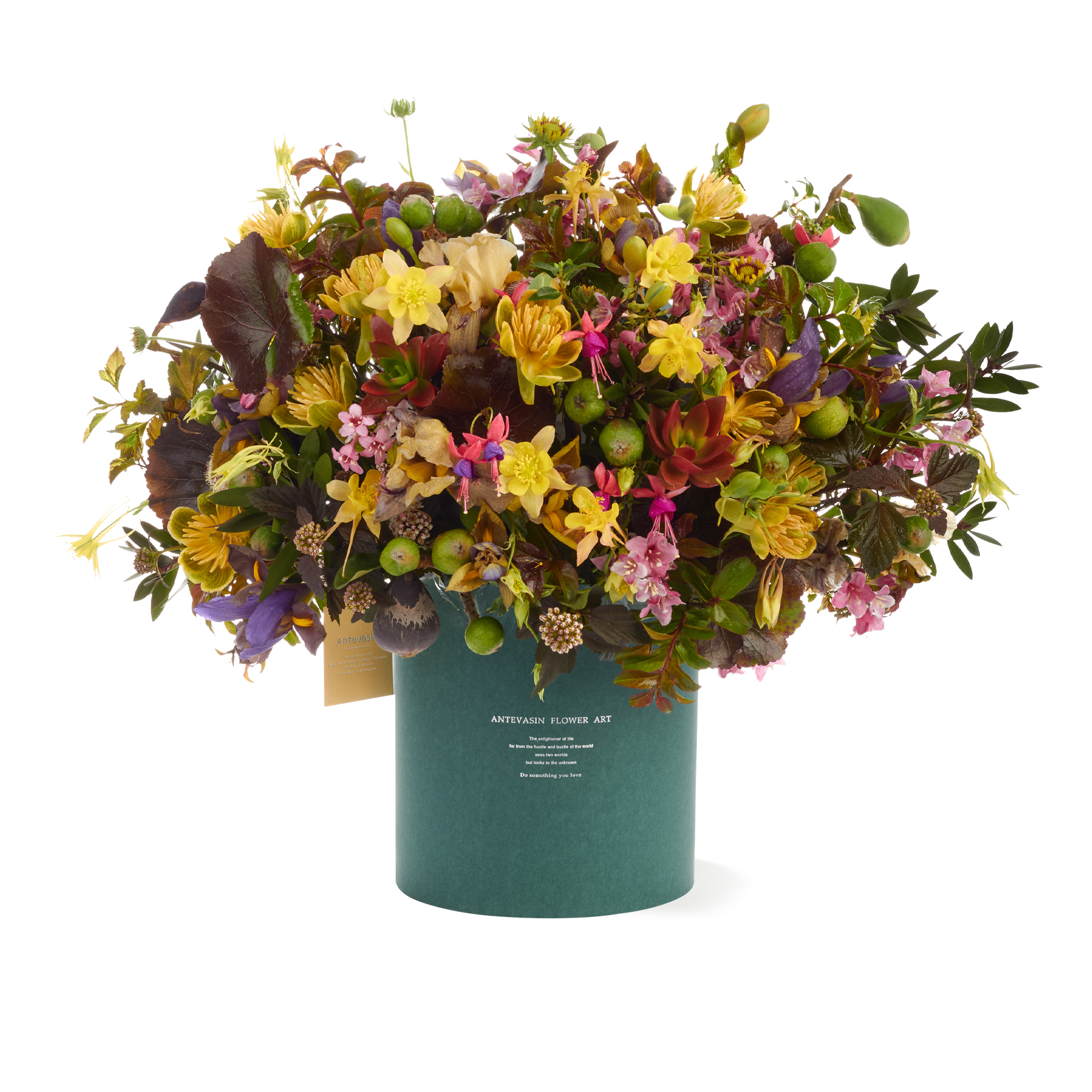 Antevasin热带花材